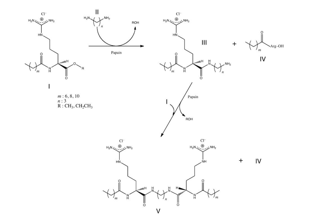 6. Scheme of the enzymatic synthesis Surfactants