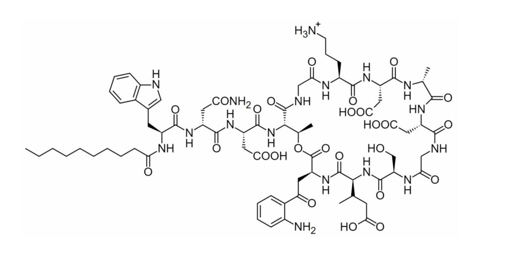 Daptomycin chemical structure