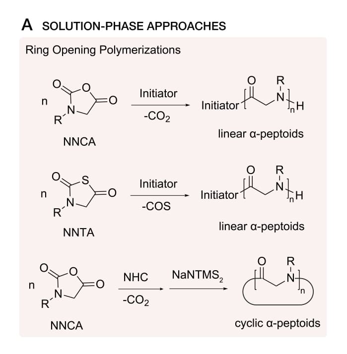Solution Phase Peptiod Synthesis
