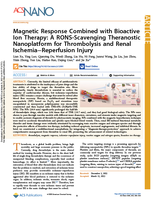 Magnetic Response Combined with Bioactive Ion Therapy: A RONS-Scavenging Theranostic Nanoplatform for Thrombolysis and Renal Ischemia−Reperfusion Injury