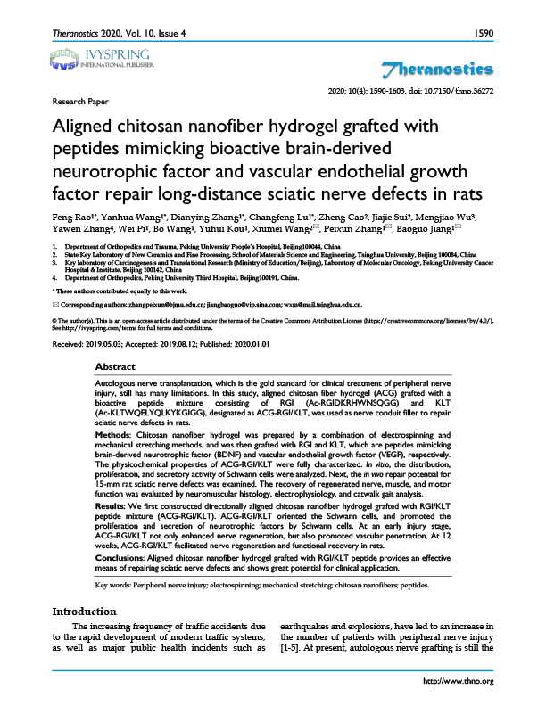 Aligned chitosan nanofiber hydrogel grafted with peptides mimicking bioactive brain-derived neurotrophic factor and vascular endothelial growth factor repair long-distance sciatic nerve defects in rats