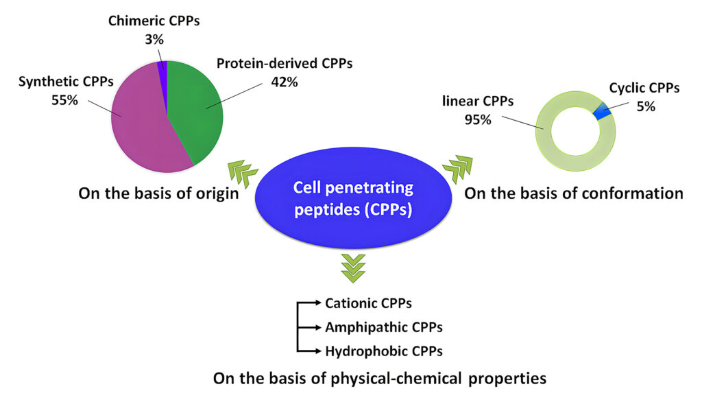2.Cell Penetrating Peptides Classification
