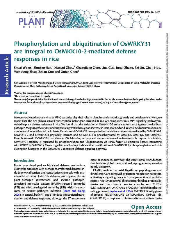 Phosphorylation and ubiquitination of OsWRKY31 are integral to OsMKK10-2-mediated defense responses in rice