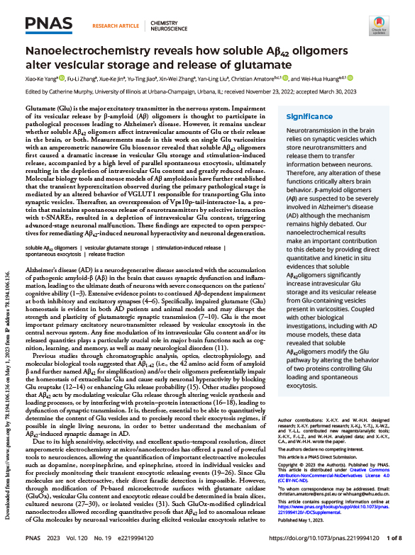 Nanoelectrochemistry reveals how soluble Aβ42 oligomers alter vesicular storage and release of glutamate