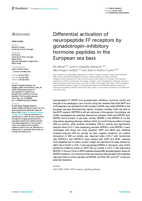 Differential activation of neuropeptide FF receptors by gonadotropin-inhibitory hormone peptides in the European sea bass
