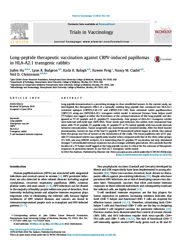 Long-peptide therapeutic vaccination against CRPV-induced papillomas in HLA-A2.1 transgenic rabbits