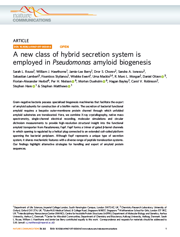 A new class of hybrid secretion system is employed in Pseudomonas amyloid biogenesis