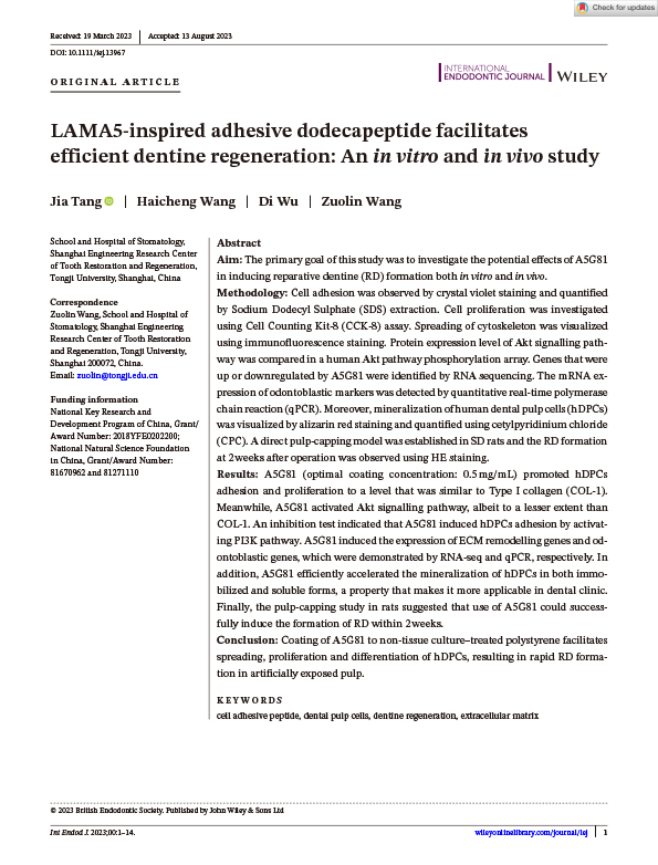 LAMA5-inspired adhesive dodecapeptide facilitates efficient dentine regeneration: An in vitro and in vivo study