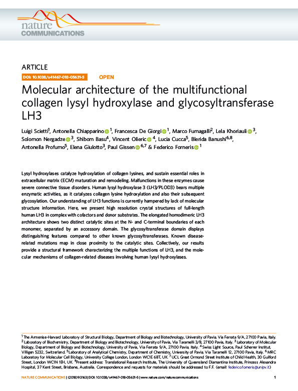 Molecular architecture of the multifunctional collagen lysyl hydroxylase and glycosyltransferase LH3