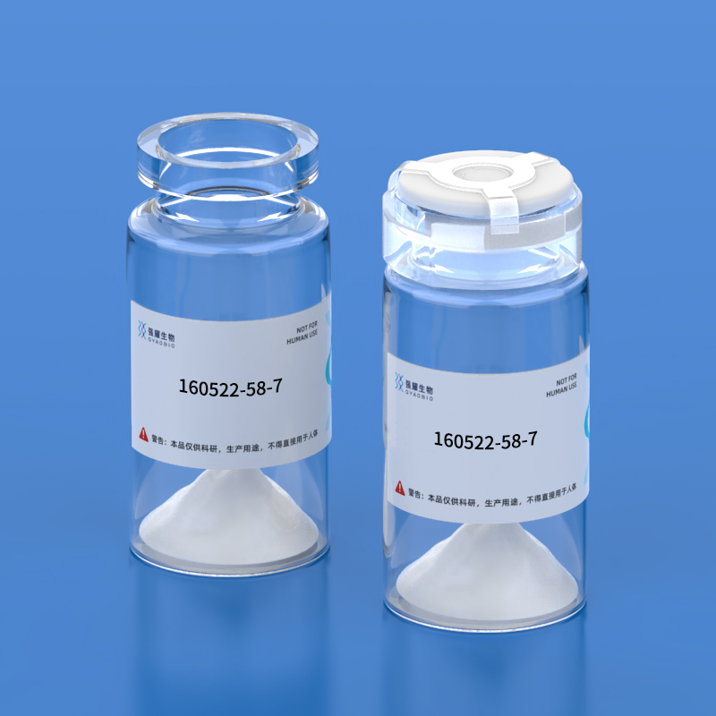 12.(D-Ala3)-Dynorphin A (1-11) amide