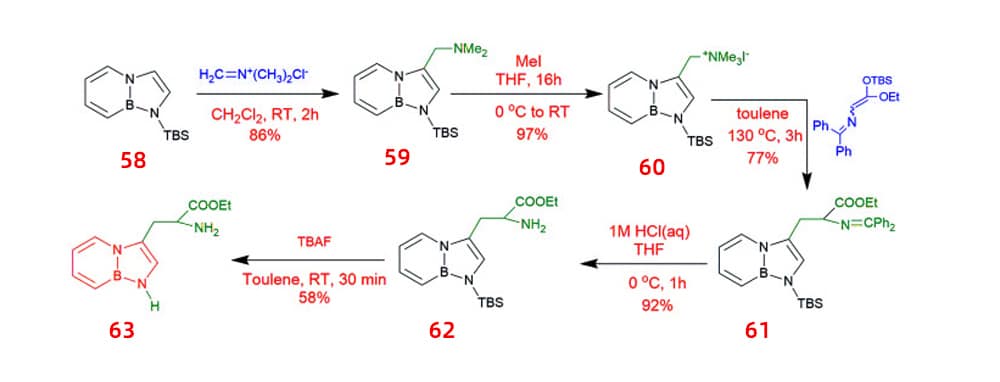 14.BN-tryptophan ethyl ester