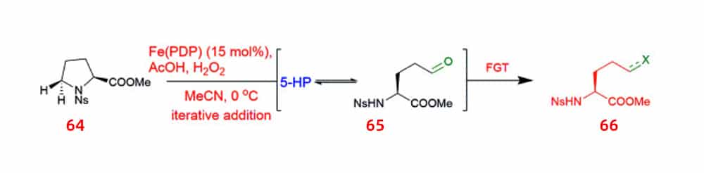 15.peptides containing UAA