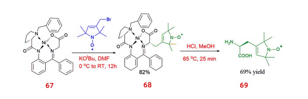 16.chiral spin-labelled amino acids