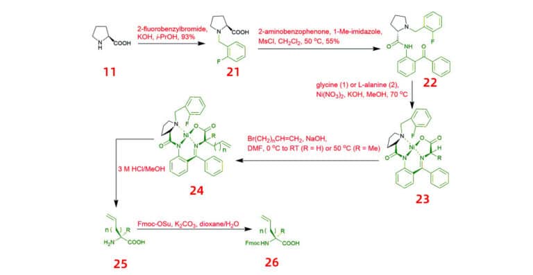 Chemical Synthesis of Unnatural Amino Acids - QYAOBIO