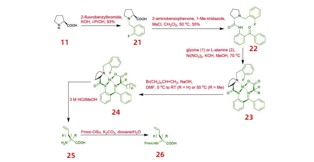 3.unnatural alkenyl amino acids