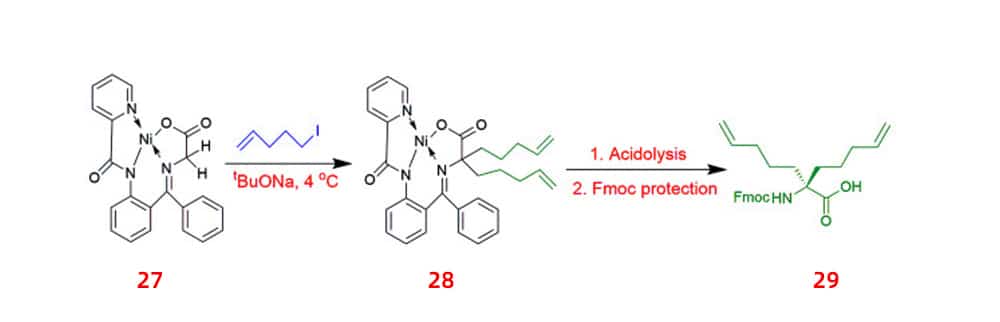 4.five UAAs for peptide stapling