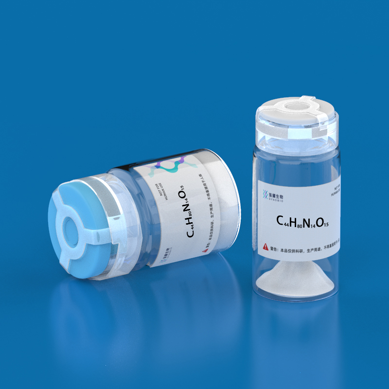 6.Calmodulin Dependent Protein Kinase Substrate