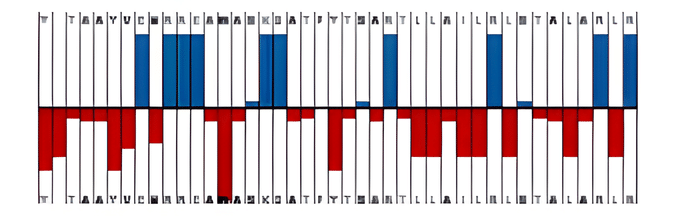 Example of hydrophobicity and hydrophilicity sequence