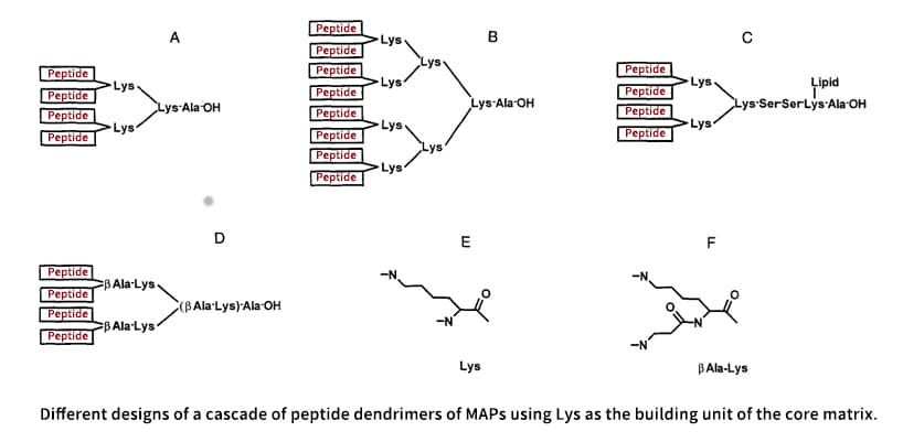 1. Different dendrimer design of MAPs