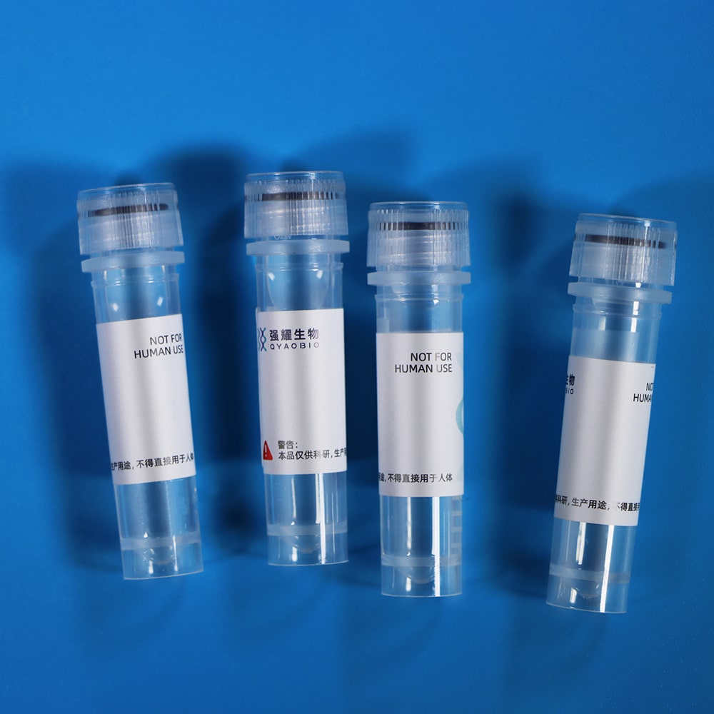 3.Recombinant Antibody 1000