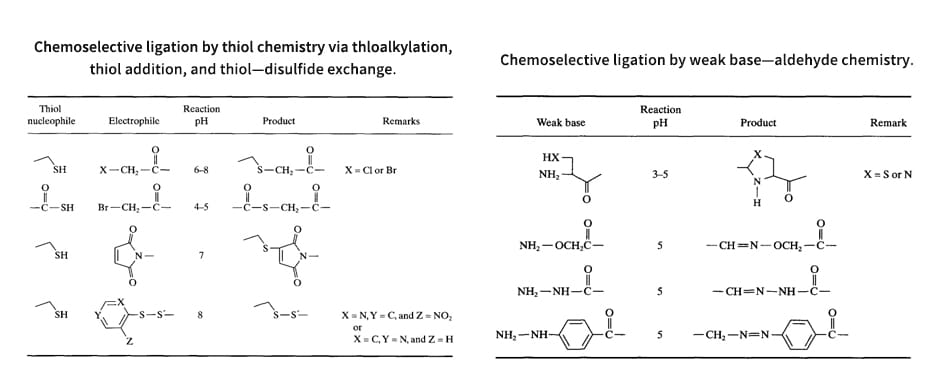 5. Chemoselective ligation