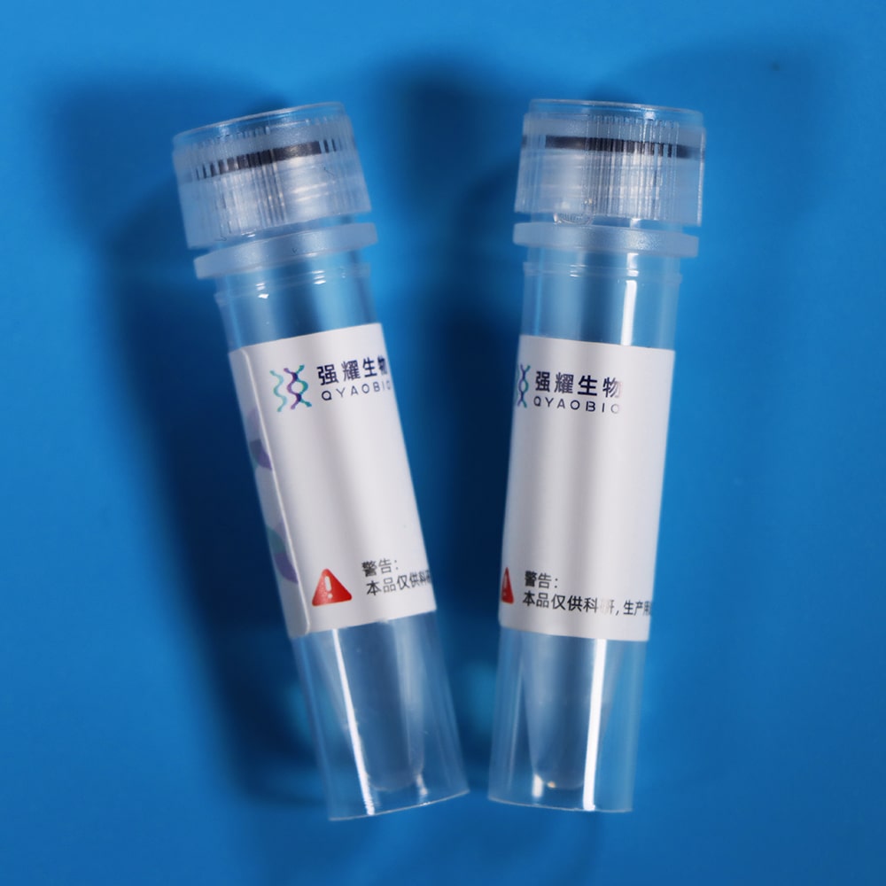 5.Loading Control Antibody 1000