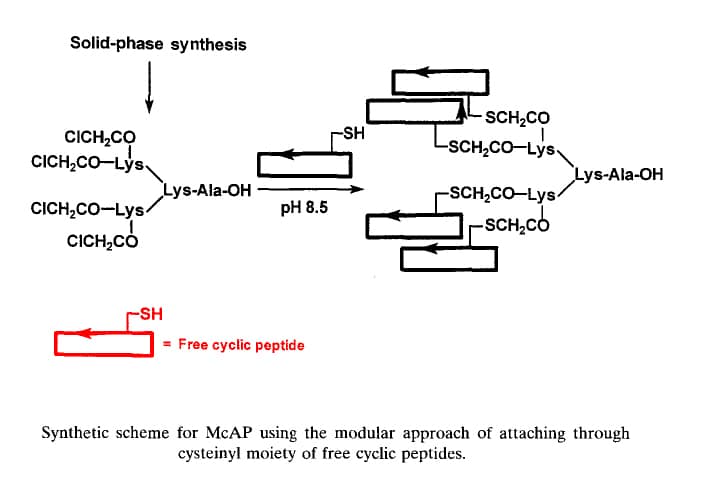 6. Synthetic scheme for McAP
