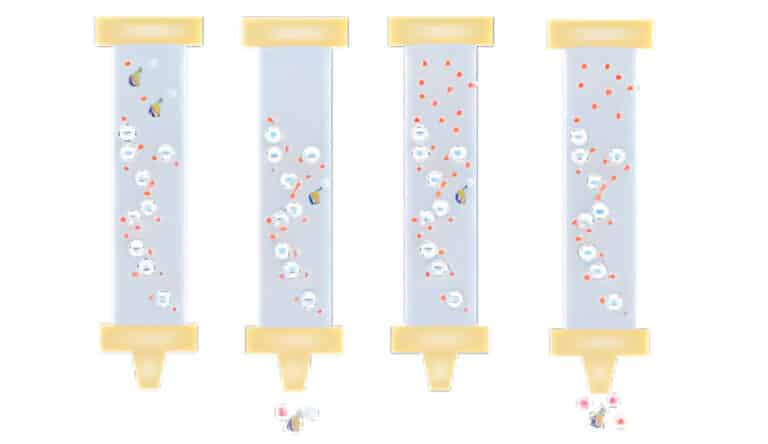 Ion Exchange Chromatography - IEC Purification - QYAOBIO