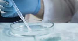 Antimicrobial Peptides