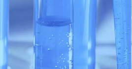 Fluorescent Peptides