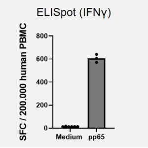 PepMix? Human CMV (pp65)