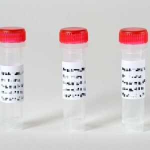 Cecropin A Peptide