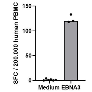 PepMix? EBV (EBNA3a)