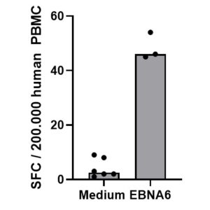 PepMix? EBV (EBNA3c)