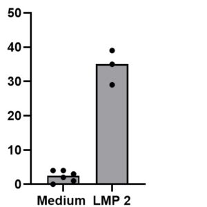 PepMix? EBV (LMP2)