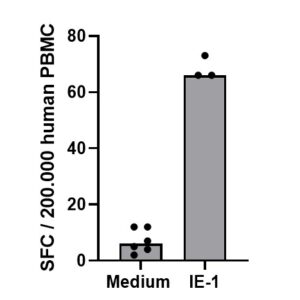 PepMix? Human CMV (IE-1)