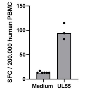 PepMix? Human CMV (UL55)