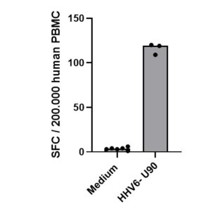 PepMix? HHV6 (U90)
