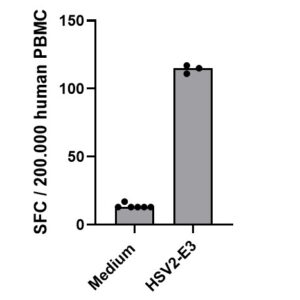 PepMix? HSV2 (E3 ICP0)