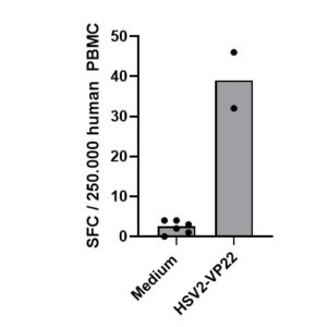 PepMix? HSV2 (VP22)